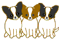 animated Chihuahuas